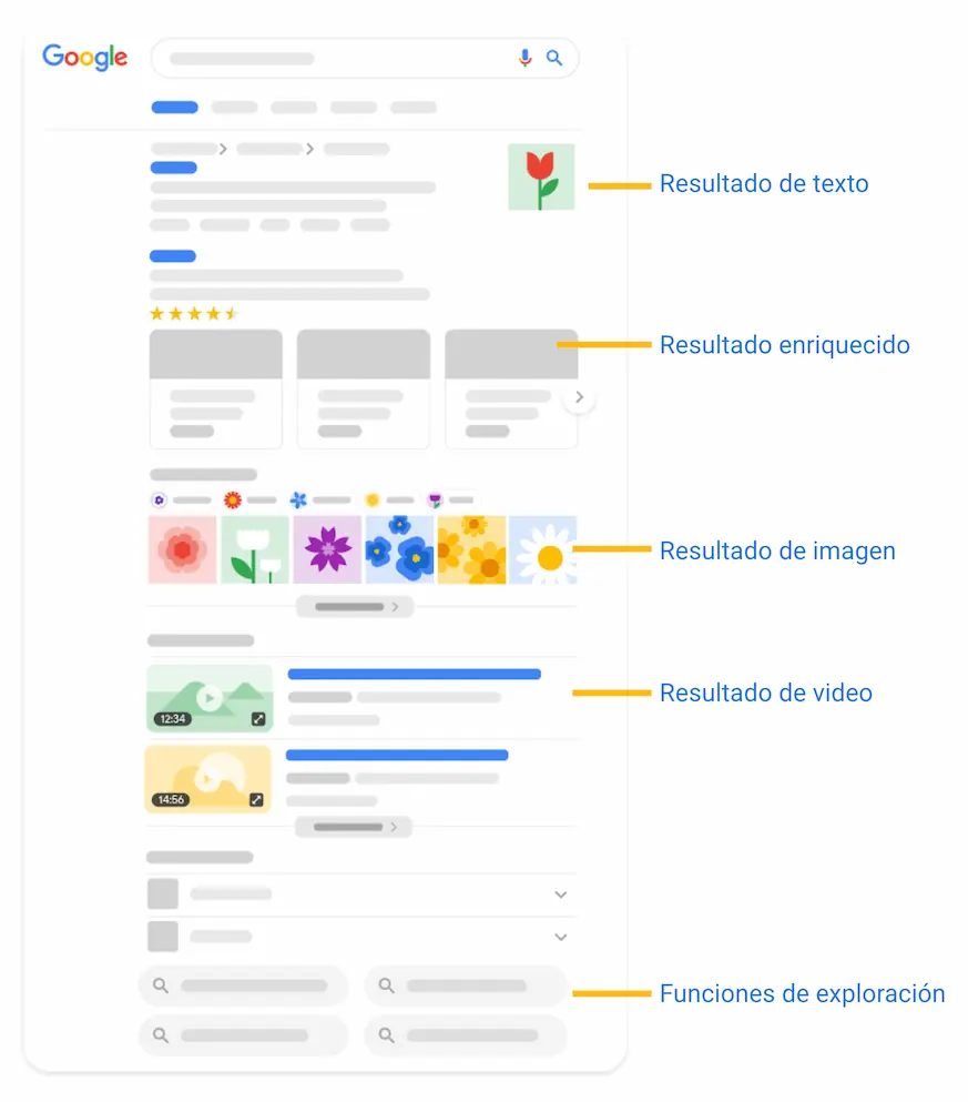 Elementos de la página de resultados de Google